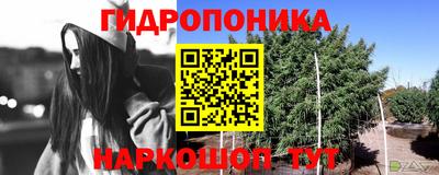 марки lsd Заволжье